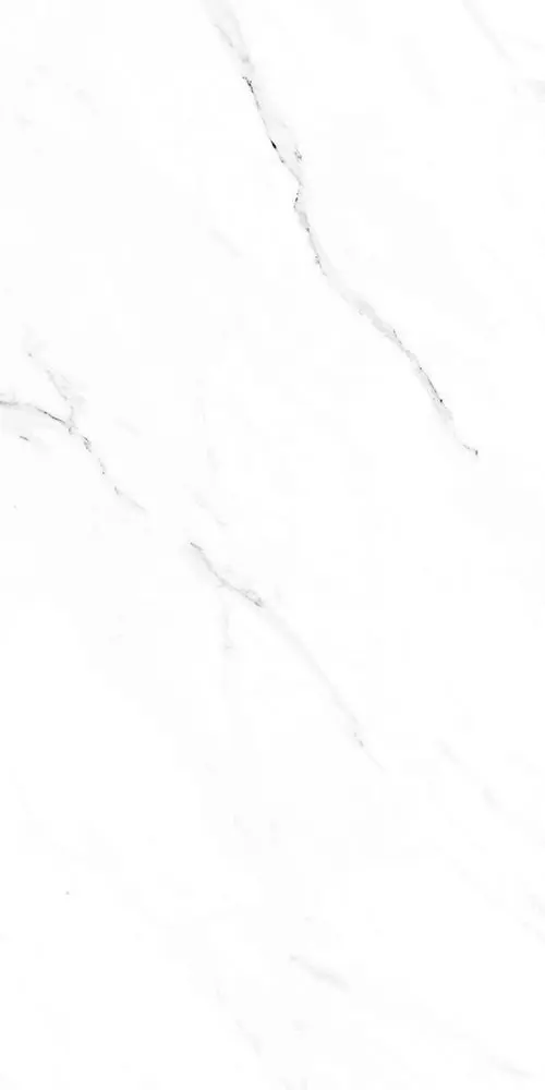 polished porcelain tile - 300x600mm