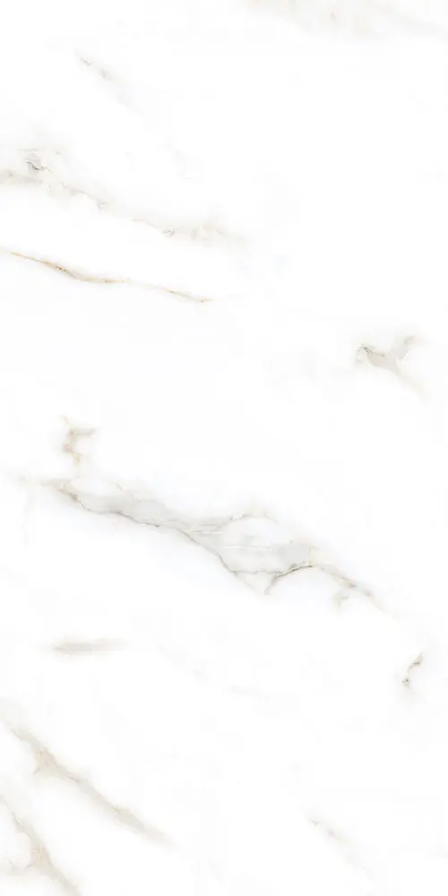 polished porcelain tile - 300x600mm