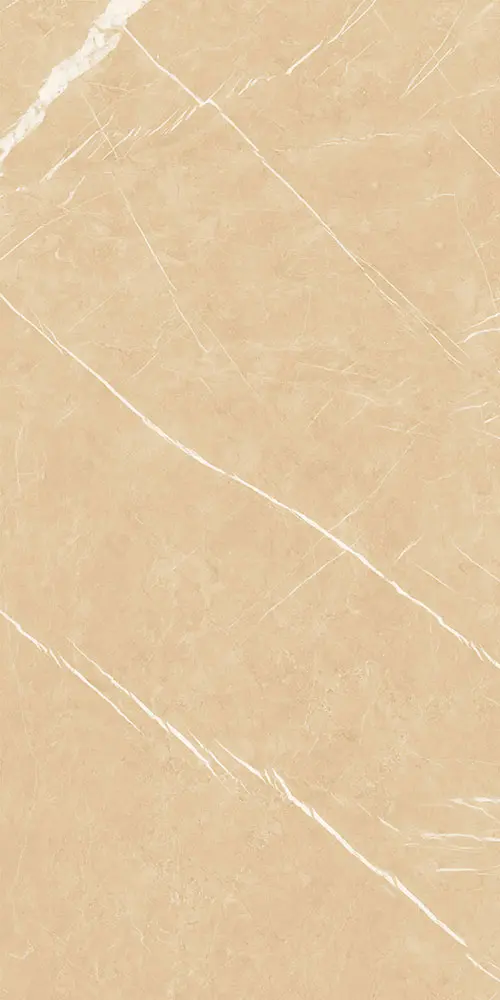 Polished Porcelain Tiles 600x1200mm