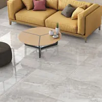 Neelson manufacturer of glazed porcelain tiles